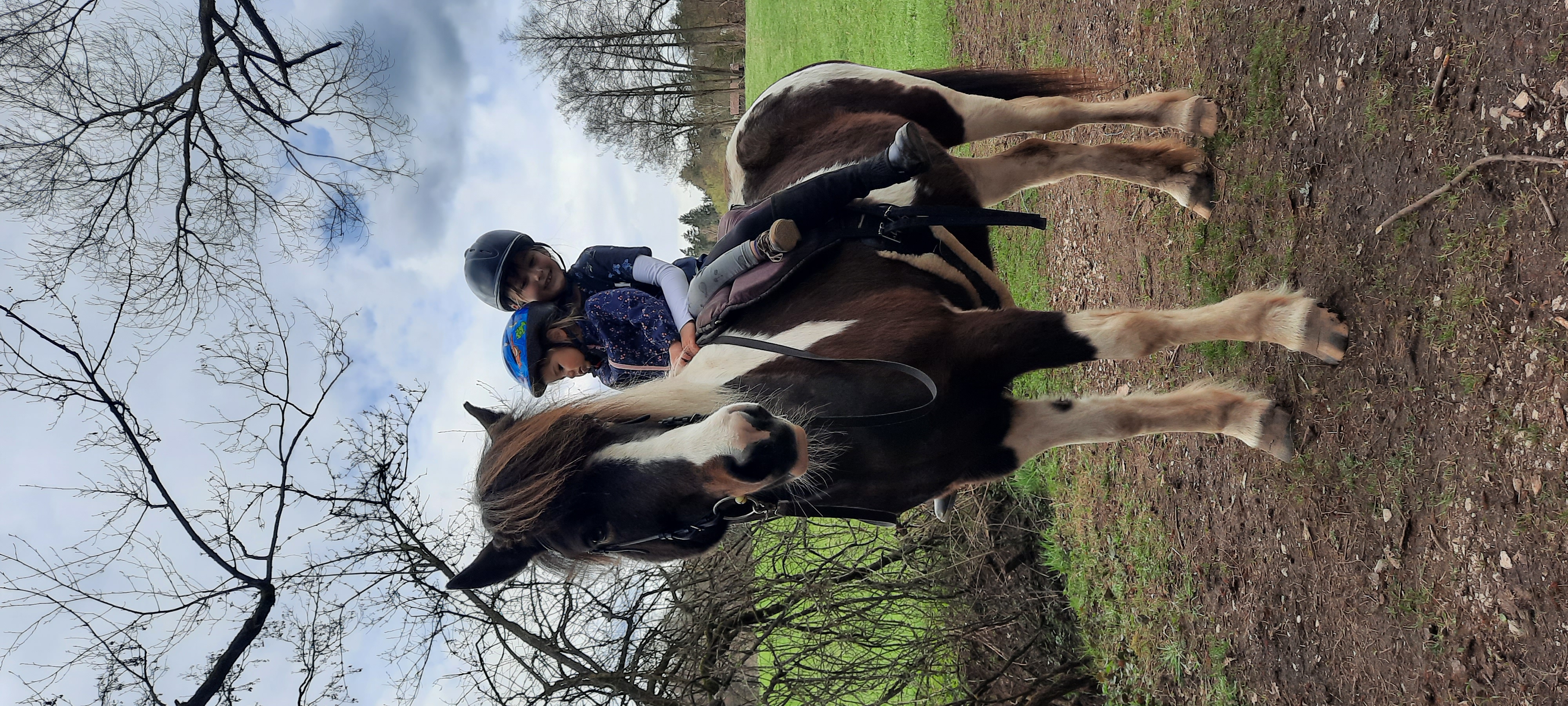 pony geburtstag zu hause